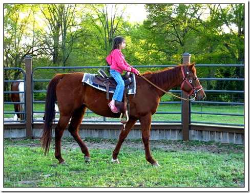 My Big Girl Horse Rider