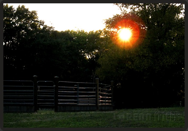 Sun Flare