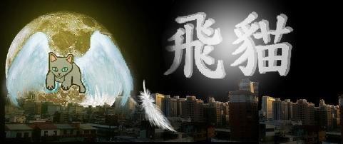 飛貓論壇
