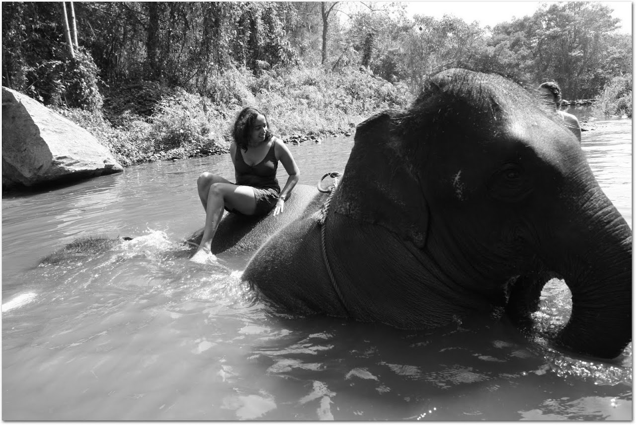 Akila swimming with elephant