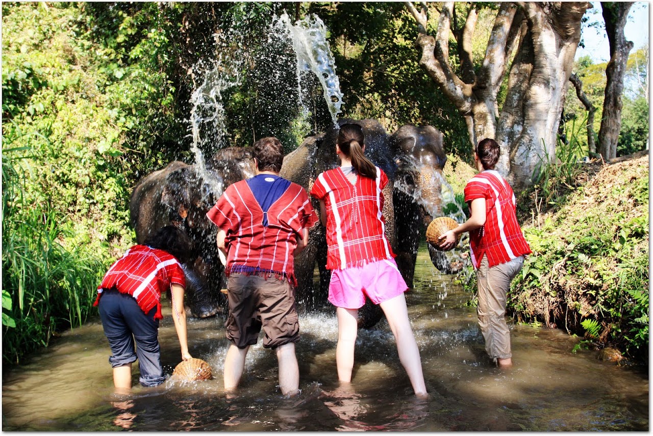 Washing elephants