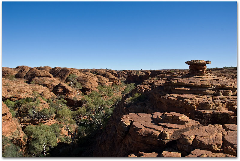 Kings Canyon Outback