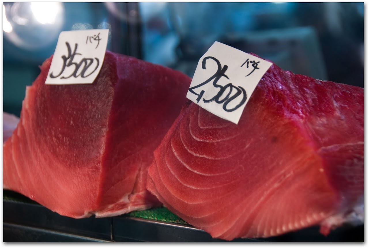 Tuna at Tsujiki Fish Market