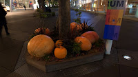 R0015244.JPG