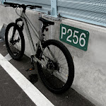 DSCN0294.JPG