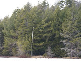 DSC05537.JPG