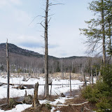 DSC05504.JPG