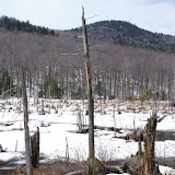 DSC05509.JPG