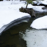 DSC05512.JPG