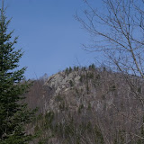 DSC05565.JPG