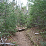the trail