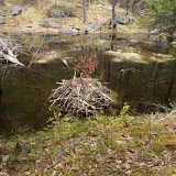 second beaver hut