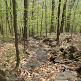 where the stream used to be before the dam