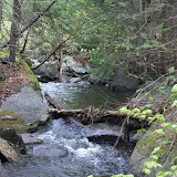 stream