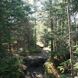 The Porter Trail