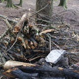 Lots of firewood that I cut up.