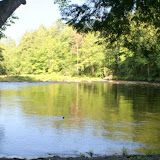 beach area