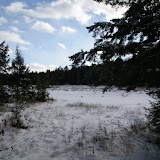 DSC08484.JPG