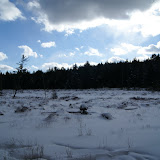 DSC08490.JPG