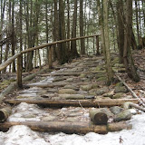 DSC08539.JPG