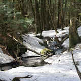 DSC08549.JPG