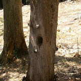 DSC08575.JPG