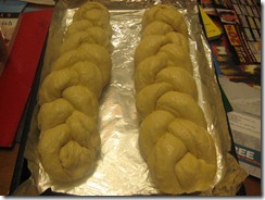 IMG_6651 IMG_6651