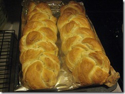 IMG_6654 IMG_6654