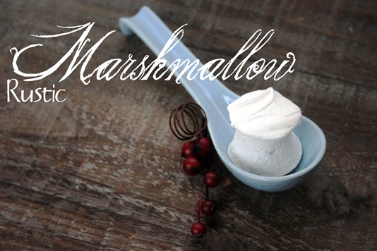Hot_Chocolate_on_a_Stick_117[5]--