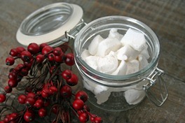 Hot_Chocolate_on_a_Stick_107[6]-