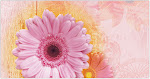 daisy-pink-wallpaper.jpg