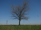 IMG_1927.JPG