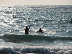 IMG_3342.JPG
