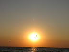 IMG_3351.JPG