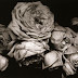 Steichen_Early-Years_09.jpg