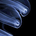 Screenshot - 25_06_2009 , 17_50_06.jpg