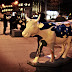 vaca-06.jpg