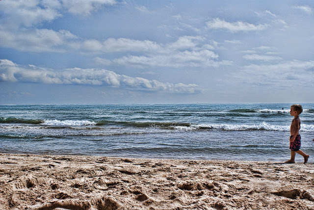 SONY DSC