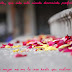 3480799126_a7c8767ed0_b.jpg