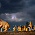 Lion family and stormy sky, Masai Mara, Kenya. African lion (Panthera leo)