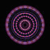 minke_1529866i.jpg