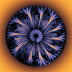 false-killer_1529881i.jpg