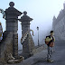 Illustrations-by-Steve-McGhee-11.jpg