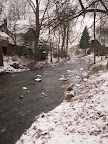 PICT2306.JPG