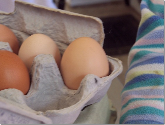 organic free range eggs