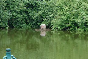 21.06.2009 - Березно2009