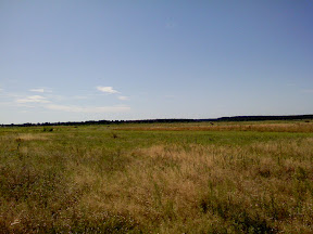 2008-08-02-kukushka