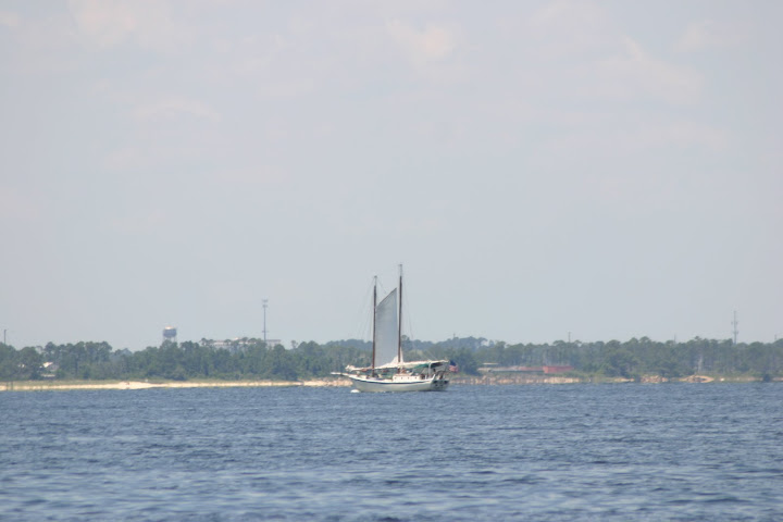 sailing
