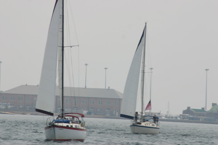 sailboats