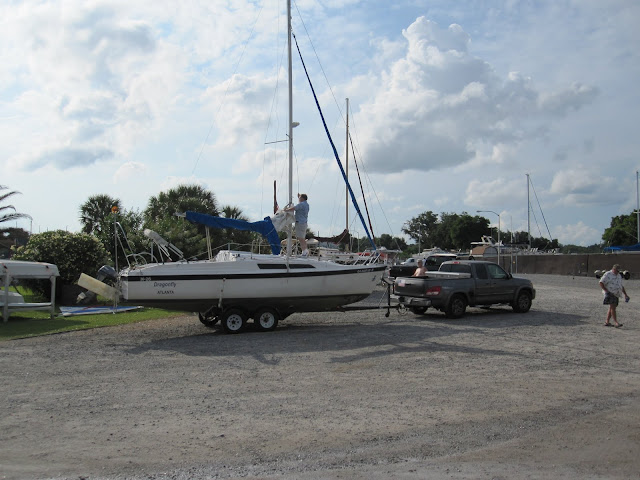 Dragonfly Macgregor 26